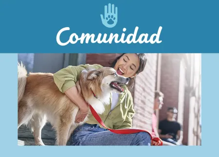 purina-img-community.jpg.webp?itok=rwXZbmnv purina-img-community.jpg.webp?itok=rwXZbmnv