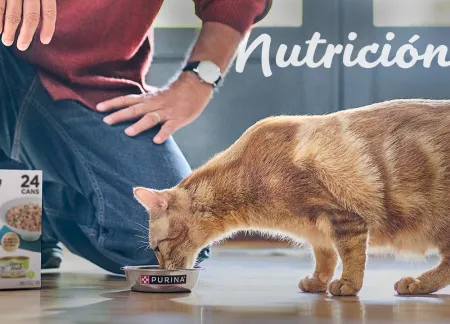purina-img-cuidados-nutricion.jpg.webp?itok=Ymxel7Oo purina-img-cuidados-nutricion.jpg.webp?itok=Ymxel7Oo
