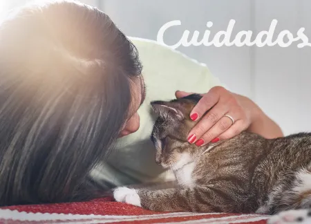purina-img-cuidados.jpg.webp?itok=QcE662G5 purina-img-cuidados.jpg.webp?itok=QcE662G5