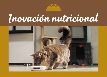 purina-img-nutrition.jpg.webp?itok=IydtjuGQ purina-img-nutrition.jpg.webp?itok=IydtjuGQ