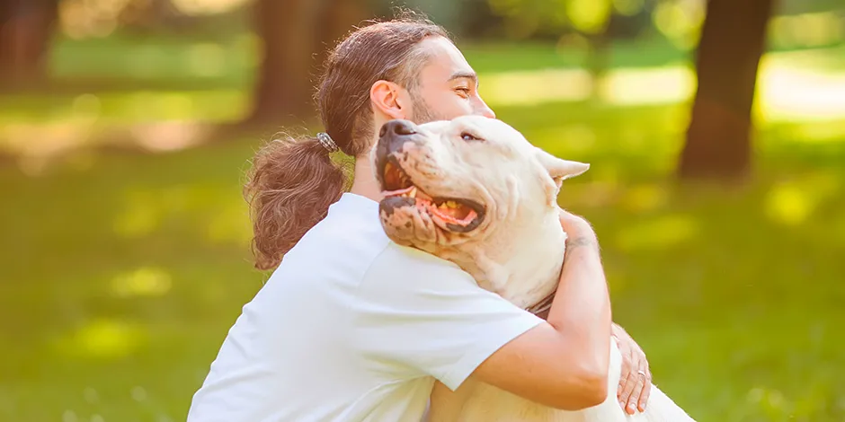 DOGO ARGENTINO 940X470 8 CARACTER.png