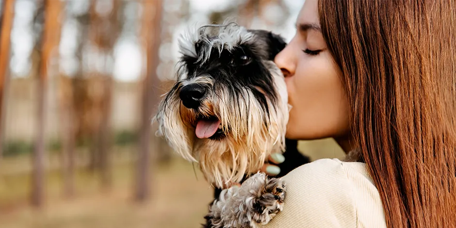 SCHNAUZER 940X470 3 TEMPERAMENTO.png