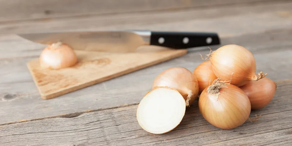 Qué verduras pueden comer los perros-Cebolla